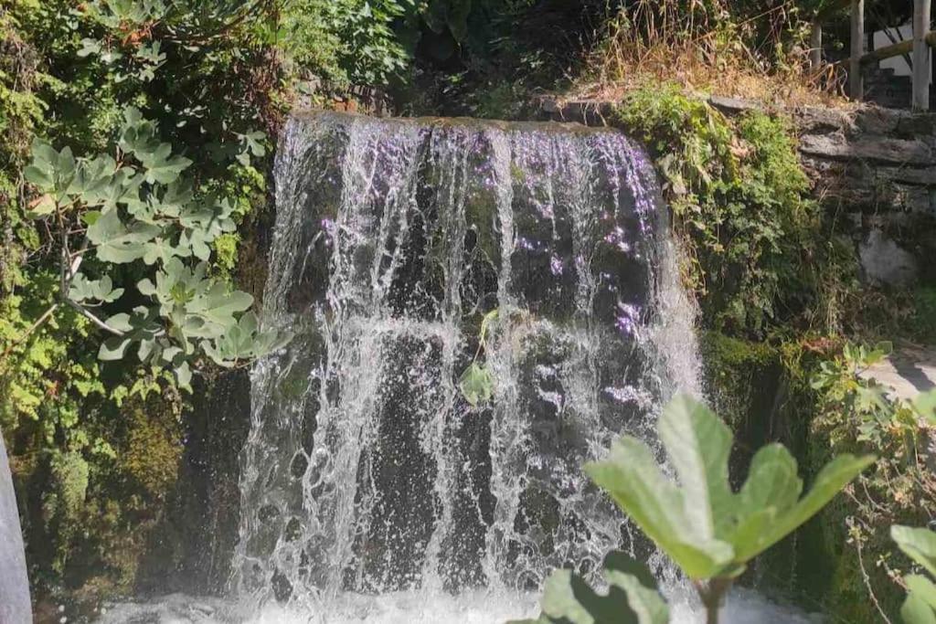 Villa Vagelia 埃皮斯科皮 外观 照片